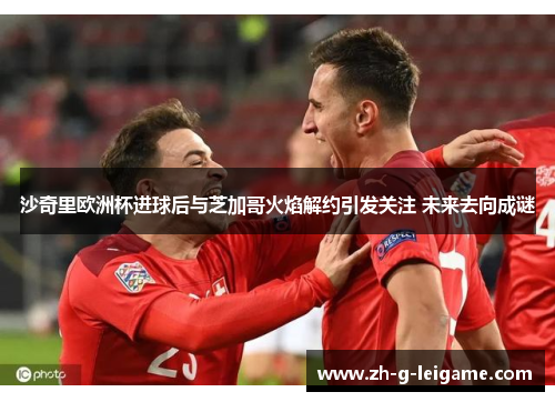 沙奇里欧洲杯进球后与芝加哥火焰解约引发关注 未来去向成谜